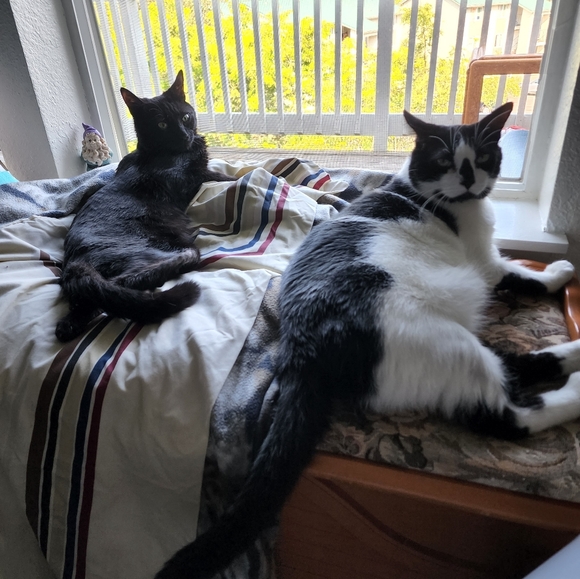 Clothing - Picture 7 of 12